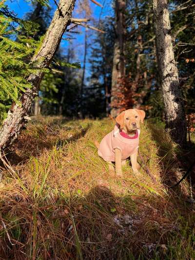 14. Collagen Challenge- Sonnenaufgang & -Untergang-Beitrag-Bild