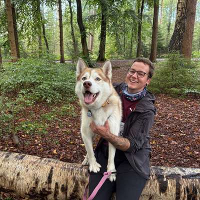 Hundetreffen-Junghunde Treffen-Bild