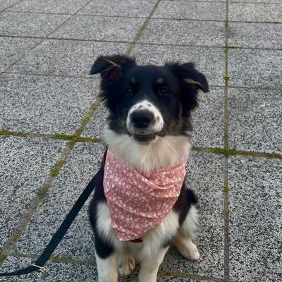 Laura's Profilbild