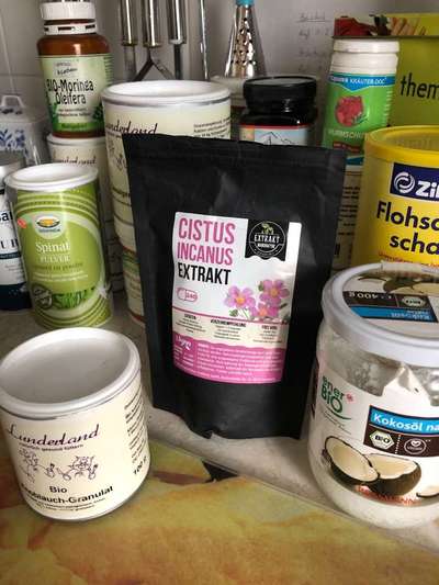 Bravecto-Beitrag-Bild