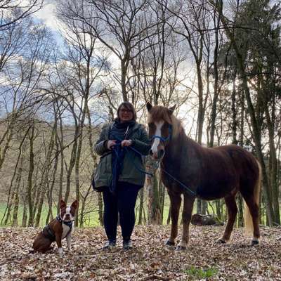 Hundetreffen-Nach Absprache Gassi in der Umgebung von st. Wendel-Profilbild