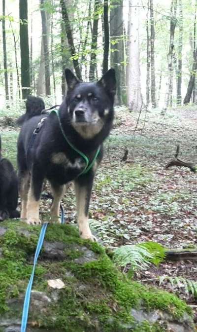 Fotochallenge Nr. 67: Euer Lieblingsbild-Beitrag-Bild