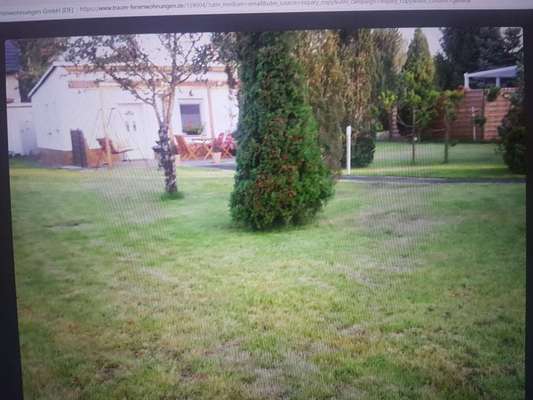 Urlaub mit Hund-Beitrag-Bild