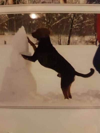 Dogorama Photo Challenge - Es wird nochmal kalt!-Beitrag-Bild