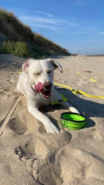 Handyfoto challenge Nr. 13: Waschlappen raus!-Beitrag-Bild