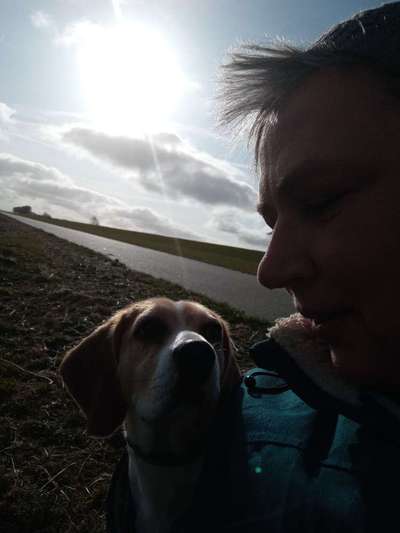 Dogorama Photo Challenge - Selfie Time!-Beitrag-Bild