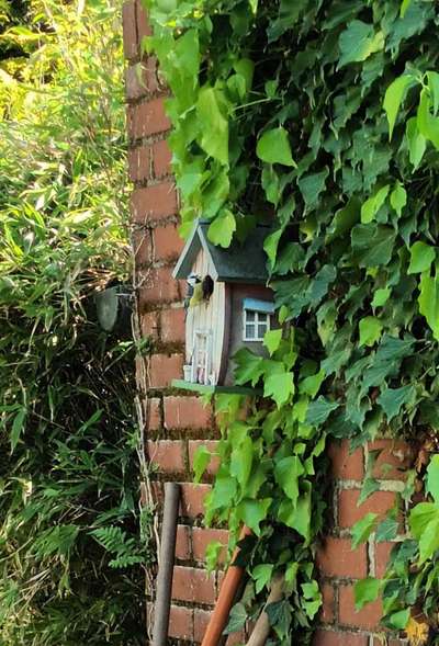 Die wunderschöne Welt mit Hund.-Beitrag-Bild