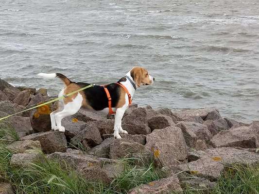 Theos Fotochallange Nummer 4-Beitrag-Bild