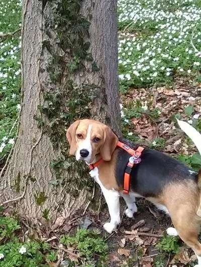 Fotochallenge 78

Es grünt und blüht-Beitrag-Bild