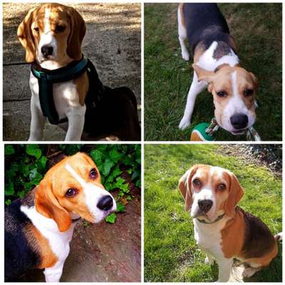 Sie werden so schnell groß!-Beitrag-Bild