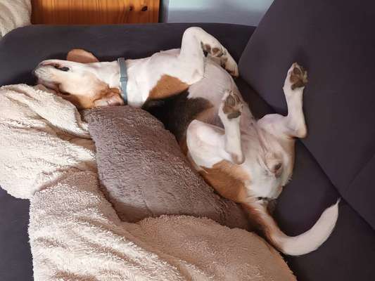 Fotowettbewerbe-Beitrag-Bild