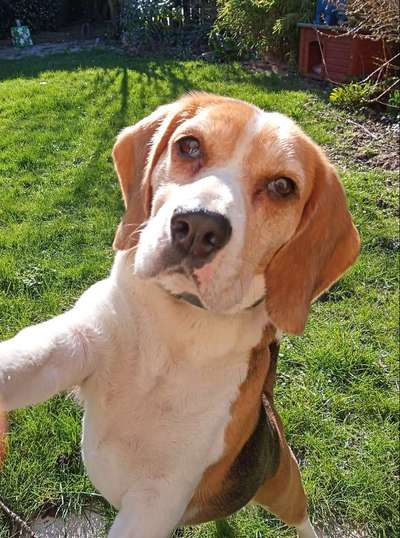 Zeigt mal eure besten Freunde-Beitrag-Bild