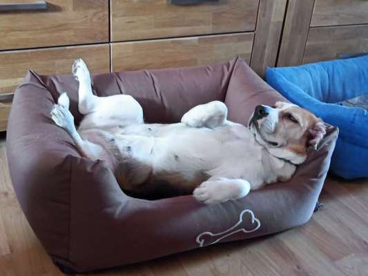 Lustige Grimassen & verrückte Posen-Beitrag-Bild