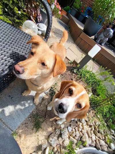 Fotochallange 84-Beitrag-Bild