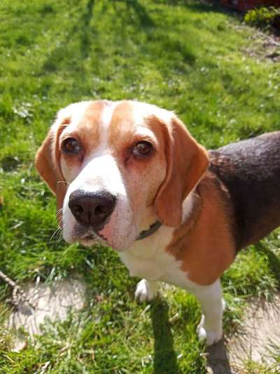 Lieblings Fotos-Beitrag-Bild