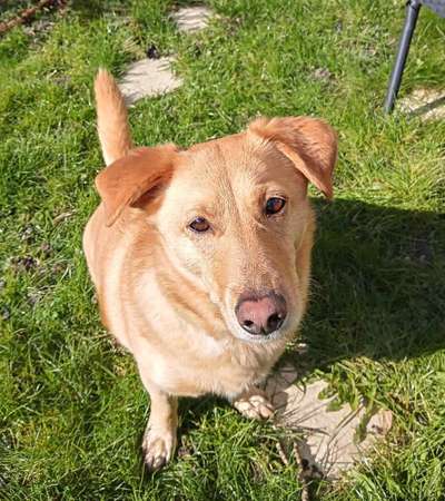 Lieblings Fotos-Beitrag-Bild