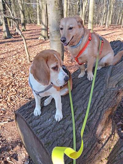 Foto Challenge Nr. 79-Beitrag-Bild