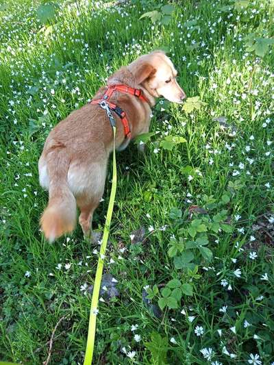 Zeigt mal eure besten Freunde-Beitrag-Bild