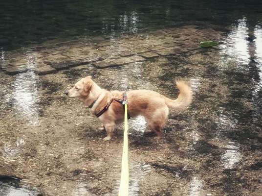 Theos Fotochallange Nummer 4-Beitrag-Bild