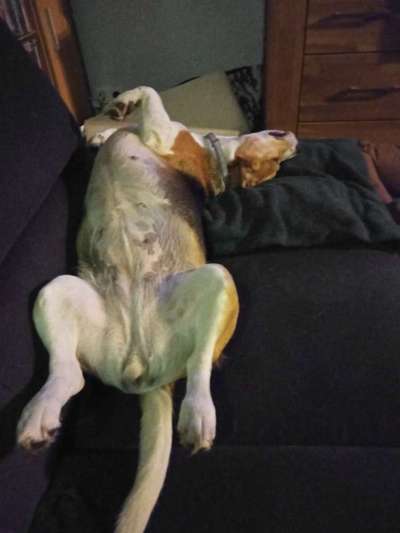 Fotochallenge Nr.65-Beitrag-Bild