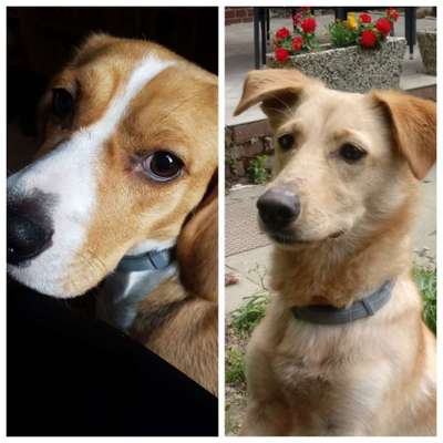 Lieblingsbild-Beitrag-Bild