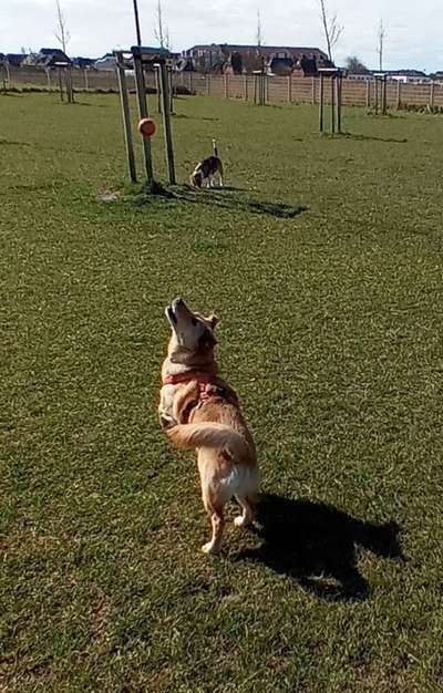 Moviestar-Pics!-Beitrag-Bild