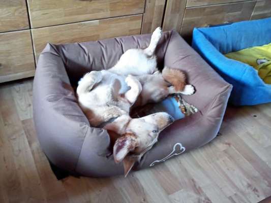 Fotowettbewerbe-Beitrag-Bild