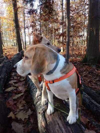 FOTOCHALLENGE 86-Beitrag-Bild