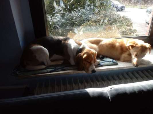 4. Lustiger Schlafplatz-Beitrag-Bild