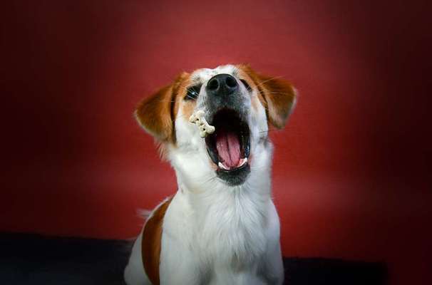 Austausch zur Fotografie-Beitrag-Bild