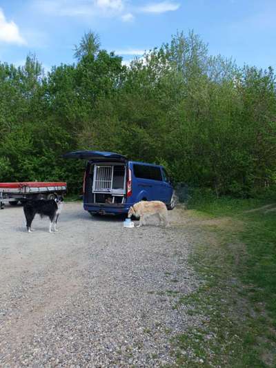 Windhunde - Treffen der besonderen Schönheiten
HERZLICH WILLKOMMEN-Beitrag-Bild