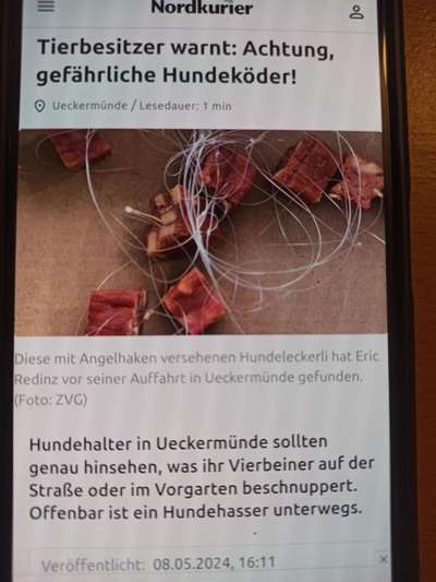 Giftköder-Giftköder mit Angelhaken-Bild