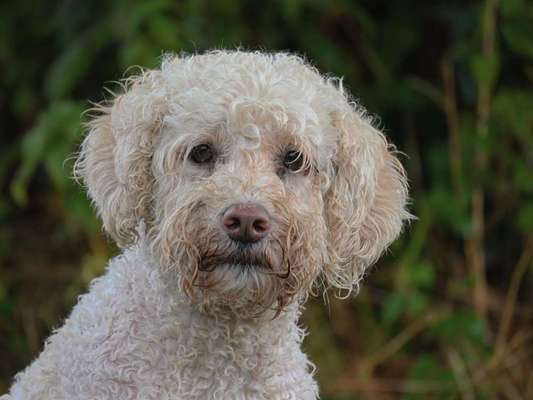 Fotochallange Nr. 57     PORTRÄT.   Beendet!!!!!!!!-Beitrag-Bild