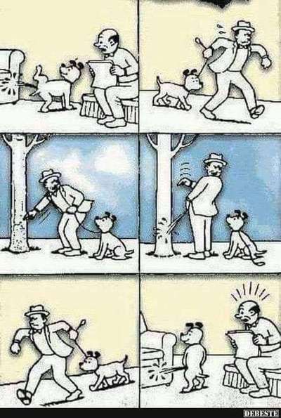 Hunde Memes-Beitrag-Bild