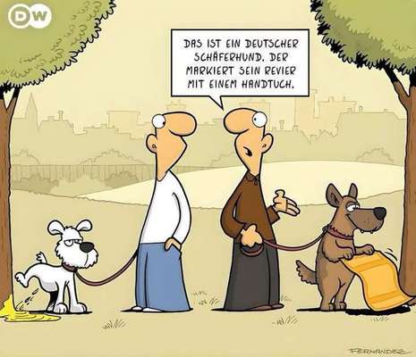 Hunde Memes-Beitrag-Bild