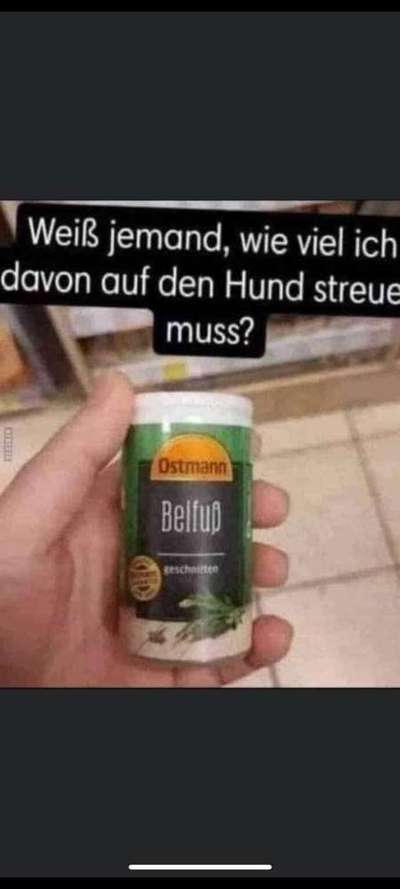 Hunde Memes-Beitrag-Bild