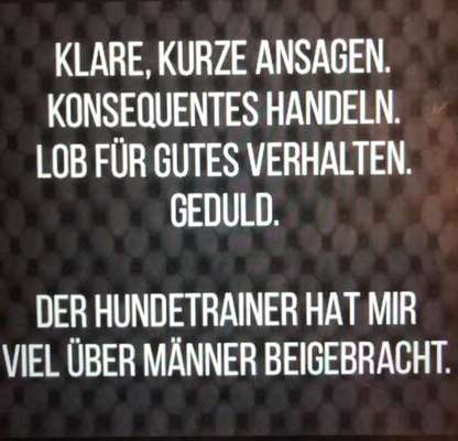 Hunde Memes-Beitrag-Bild