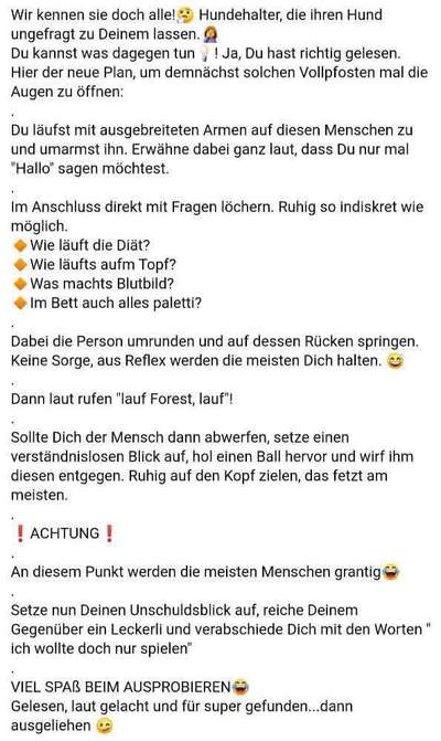 Hunde Memes-Beitrag-Bild