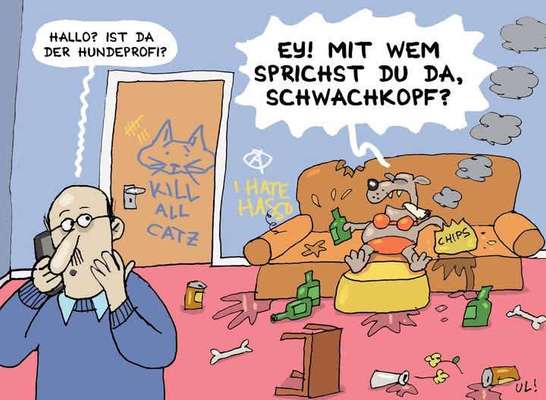 Hunde Memes-Beitrag-Bild