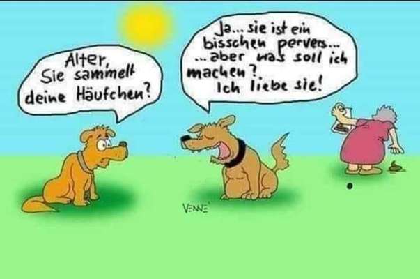 Hunde Memes-Beitrag-Bild