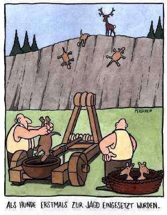 Hunde Memes-Beitrag-Bild