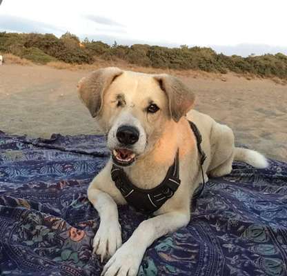 Fotochallange Nr. 57     PORTRÄT.   Beendet!!!!!!!!-Beitrag-Bild