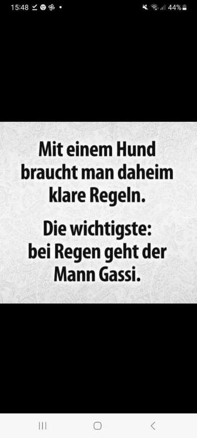 Hunde Memes-Beitrag-Bild