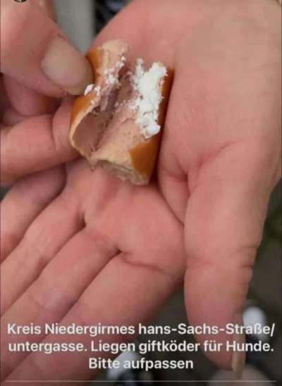 Giftköder-Giftköder-Bild