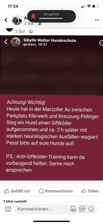 Giftköder-Giftköder vermutlich Rattengift-Bild