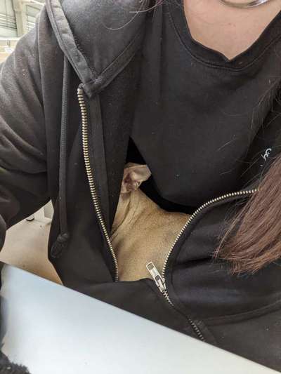 Zeigt her...-Beitrag-Bild