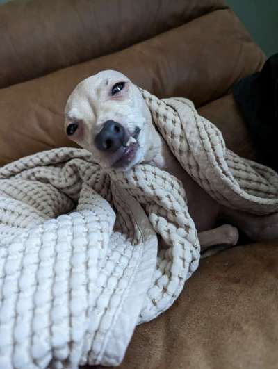 Fotochallenge Nr.122-Beitrag-Bild