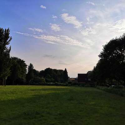 Hundeauslaufgebiet-Wendlohstraße/Hadermanns Weg-Bild