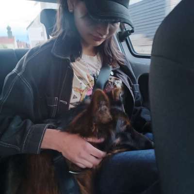 Hundetreffen-Gassi