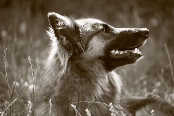 Zeigt eure Portraits-Beitrag-Bild